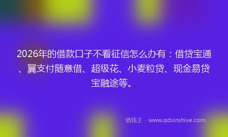 2026年的借款口子不看征信怎么办有：借贷宝通、翼支付随意借、超级花、小麦粒贷、现金易贷宝融途等。