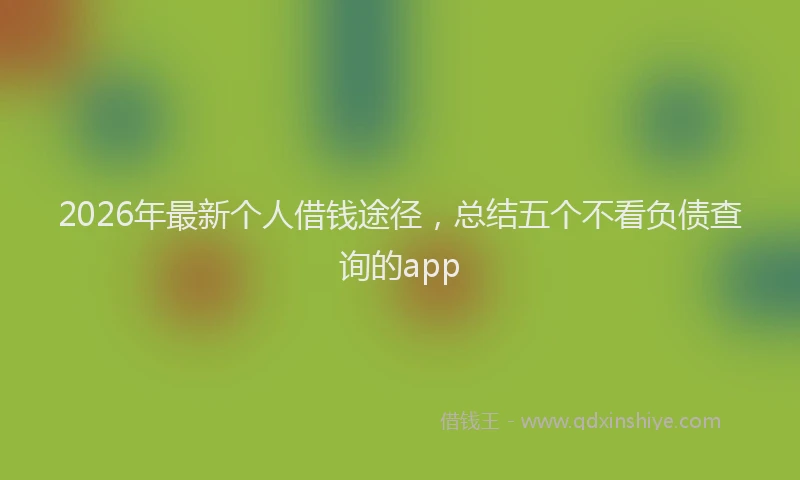 2026年最新个人借钱途径,总结五个不看负债查询的app