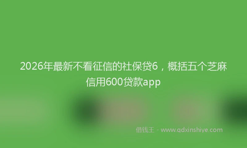 2026年最新不看征信的社保贷6，概括五个芝麻信用600贷款app