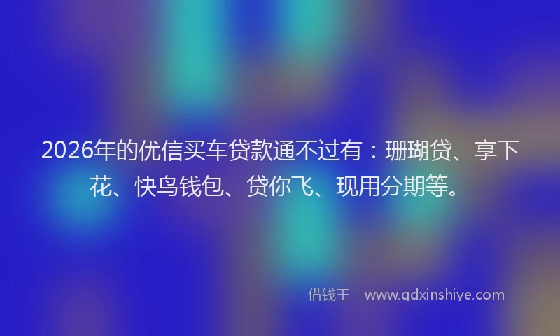 2026年的优信买车贷款通不过有：珊瑚贷、享下花、快鸟钱包、贷你飞、现用分期等。
