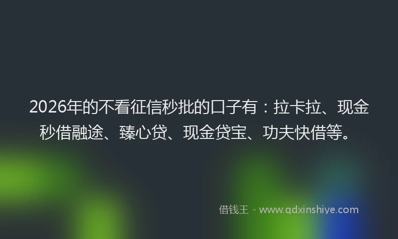 2026年的不看征信秒批的口子有：拉卡拉、现金秒借融途、臻心贷、现金贷宝、功夫快借等。