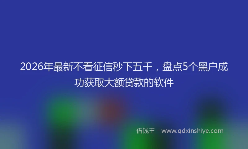 2026年最新不看征信秒下五千,盘点5个黑户成功获取大额贷款的软件
