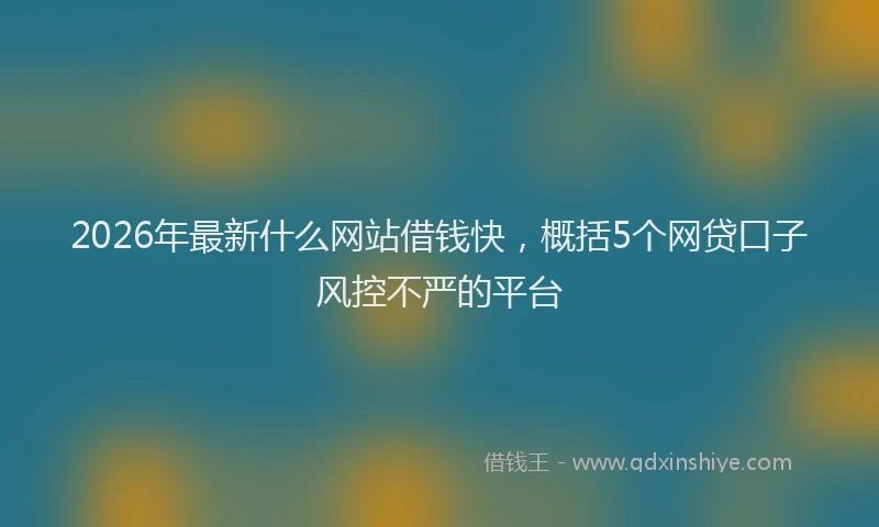 2026年最新什么网站借钱快,概括5个网贷口子风控不严的平台