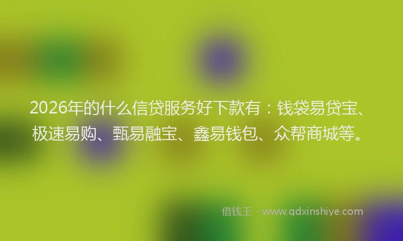 2026年的什么信贷服务好下款有:钱袋易贷宝、极速易购、甄易融宝、鑫易钱包、众帮商城等。
