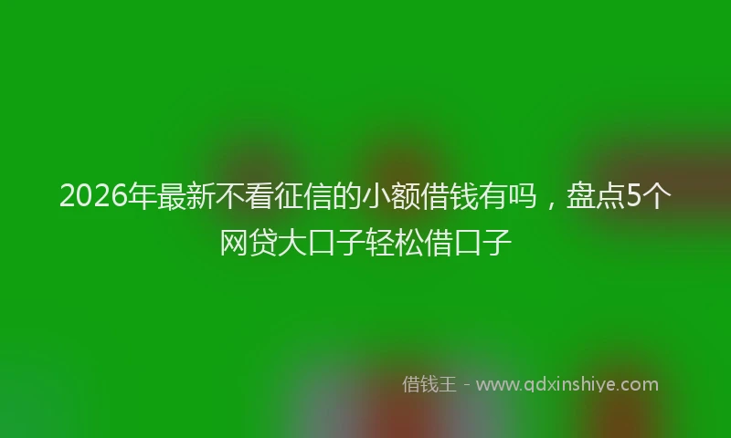 2026年最新不看征信的小额借钱有吗，盘点5个网贷大口子轻松借口子