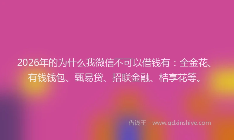 2026年的为什么我微信不可以借钱有：全金花、有钱钱包、甄易贷、招联金融、桔享花等。