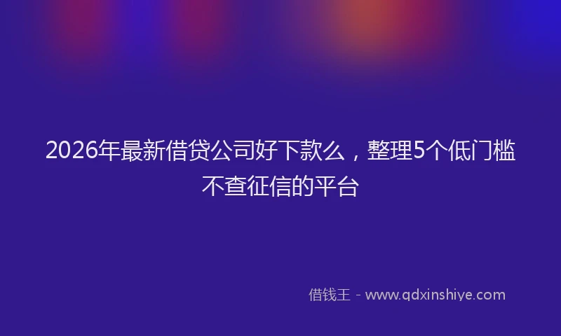 2026年最新借贷公司好下款么,整理5个低门槛不查征信的平台