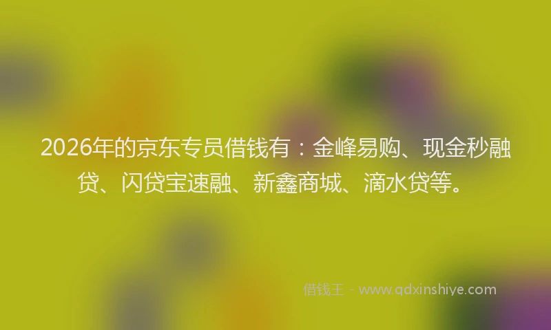 2026年的京东专员借钱有:金峰易购、现金秒融贷、闪贷宝速融、新鑫商城、滴水贷等。