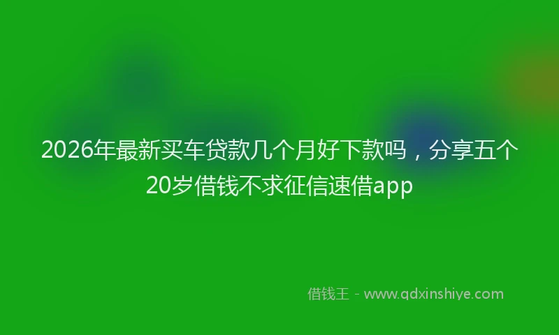 2026年最新买车贷款几个月好下款吗,分享五个20岁借钱不求征信速借app