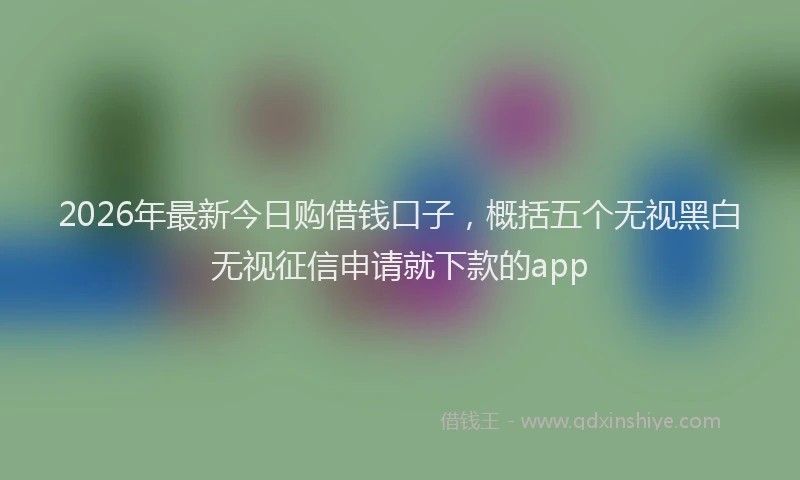 2026年最新今日购借钱口子，概括五个无视黑白无视征信申请就下款的app