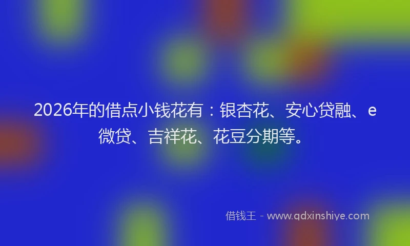 2026年的借点小钱花有:银杏花、安心贷融、e微贷、吉祥花、花豆分期等。