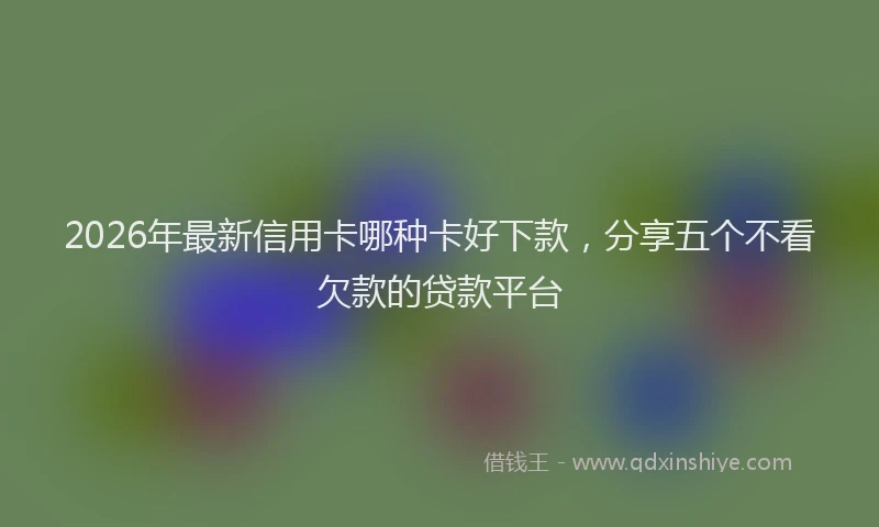 2026年最新信用卡哪种卡好下款,分享五个不看欠款的贷款平台
