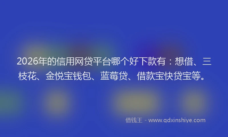 2026年的信用网贷平台哪个好下款有：想借、三枝花、金悦宝钱包、蓝莓贷、借款宝快贷宝等。