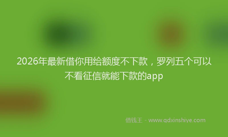 2026年最新借你用给额度不下款，罗列五个可以不看征信就能下款的app