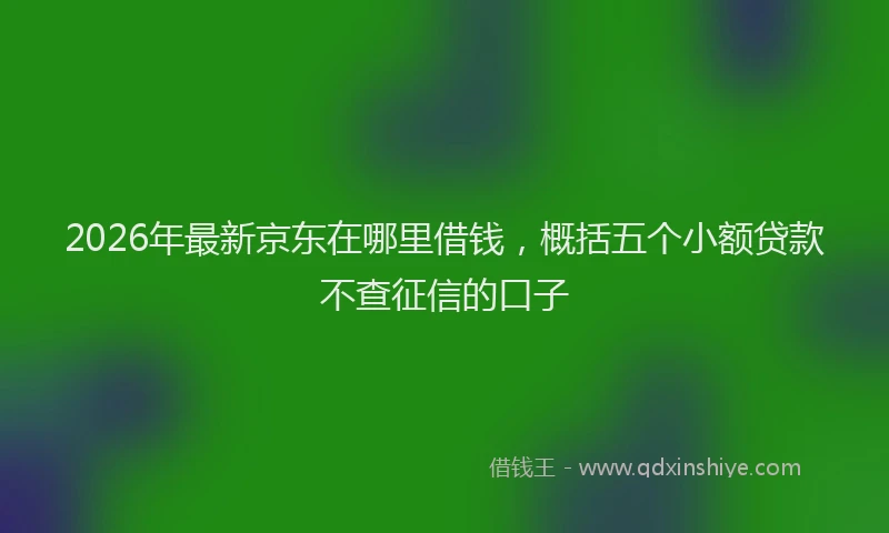 2026年最新京东在哪里借钱，概括五个小额贷款不查征信的口子