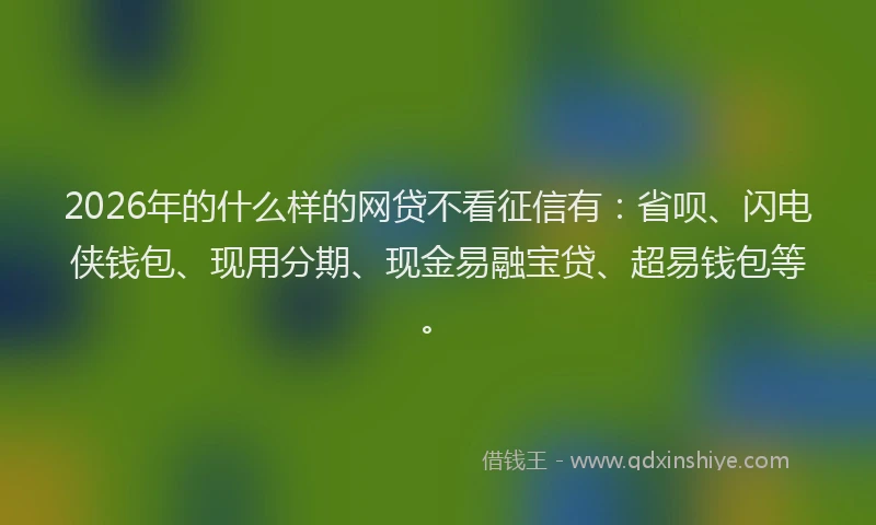 2026年的什么样的网贷不看征信有：省呗、闪电侠钱包、现用分期、现金易融宝贷、超易钱包等。