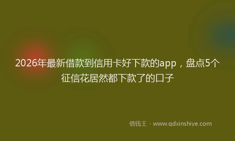 2026年最新借款到信用卡好下款的app，盘点5个征信花居然都下款了的口子