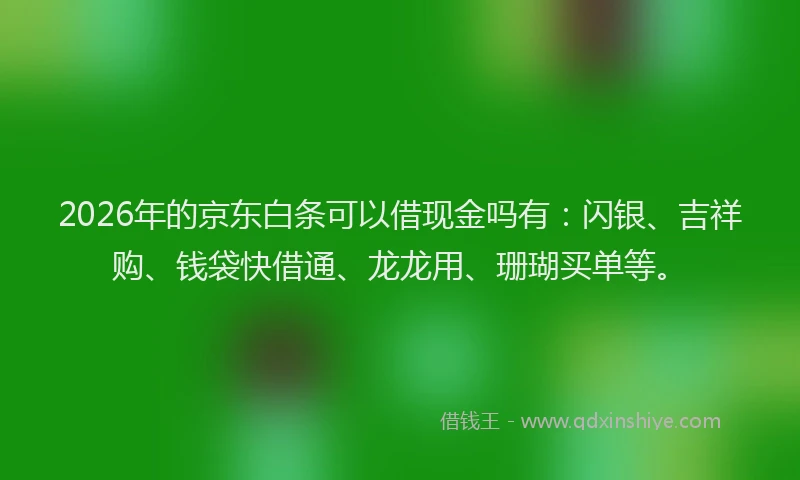 2026年的京东白条可以借现金吗有:闪银、吉祥购、钱袋快借通、龙龙用、珊瑚买单等。