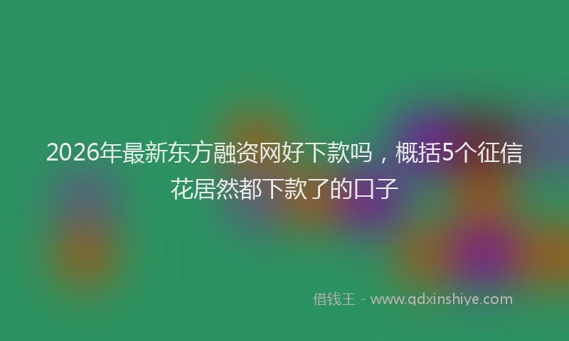 2026年最新东方融资网好下款吗，概括5个征信花居然都下款了的口子