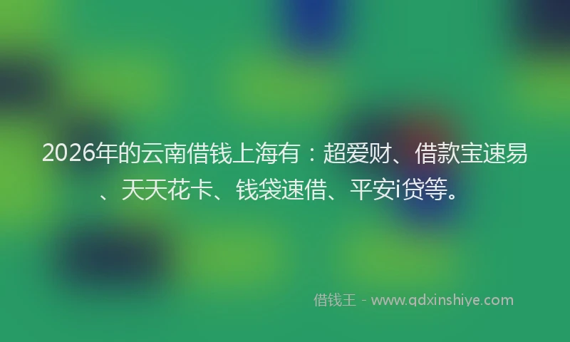 2026年的云南借钱上海有:超爱财、借款宝速易、天天花卡、钱袋速借、平安i贷等。