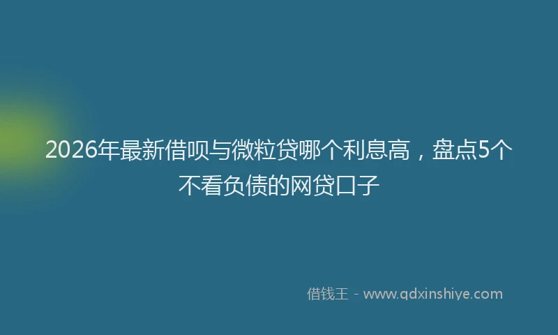 2026年最新借呗与微粒贷哪个利息高,盘点5个不看负债的网贷口子