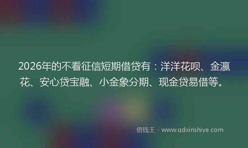 2026年的不看征信短期借贷有：洋洋花呗、金瀛花、安心贷宝融、小金象分期、现金贷易借等。