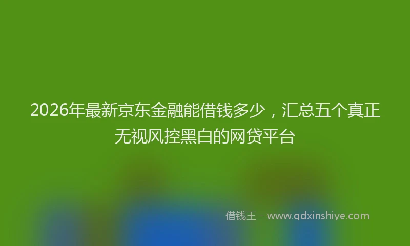 2026年最新京东金融能借钱多少，汇总五个真正无视风控黑白的网贷平台