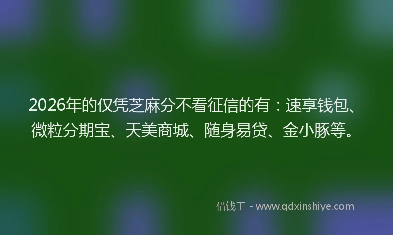 2026年的仅凭芝麻分不看征信的有:速享钱包、微粒分期宝、天美商城、随身易贷、金小豚等。