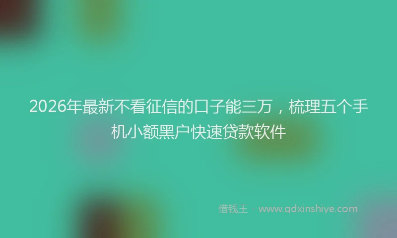 2026年最新不看征信的口子能三万，梳理五个手机小额黑户快速贷款软件
