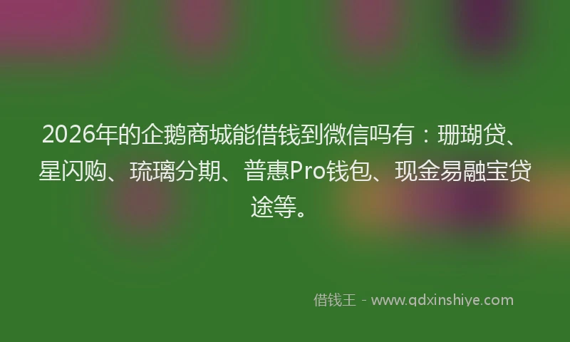 2026年的企鹅商城能借钱到微信吗有:珊瑚贷、星闪购、琉璃分期、普惠Pro钱包、现金易融宝贷途等。