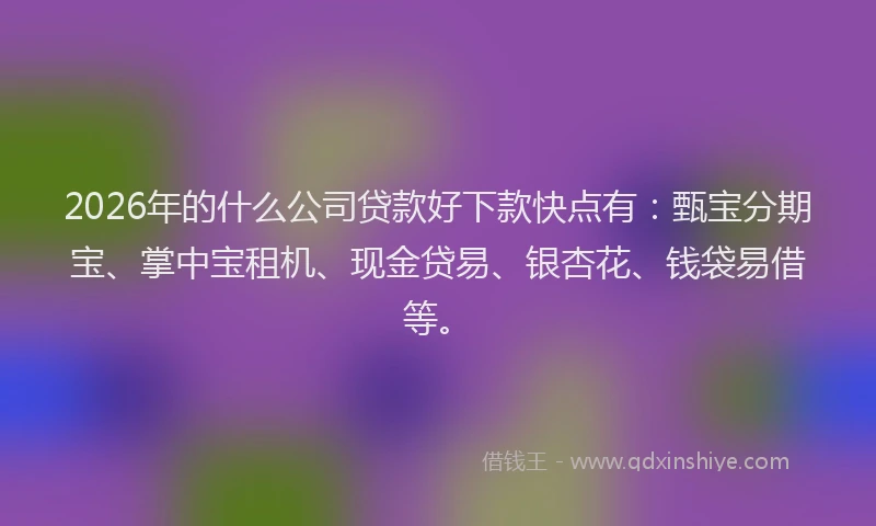 2026年的什么公司贷款好下款快点有：甄宝分期宝、掌中宝租机、现金贷易、银杏花、钱袋易借等。