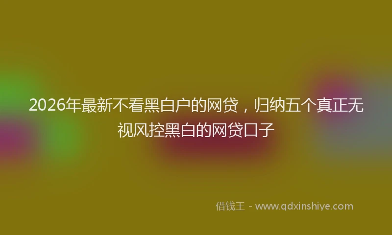2026年最新不看黑白户的网贷，归纳五个真正无视风控黑白的网贷口子