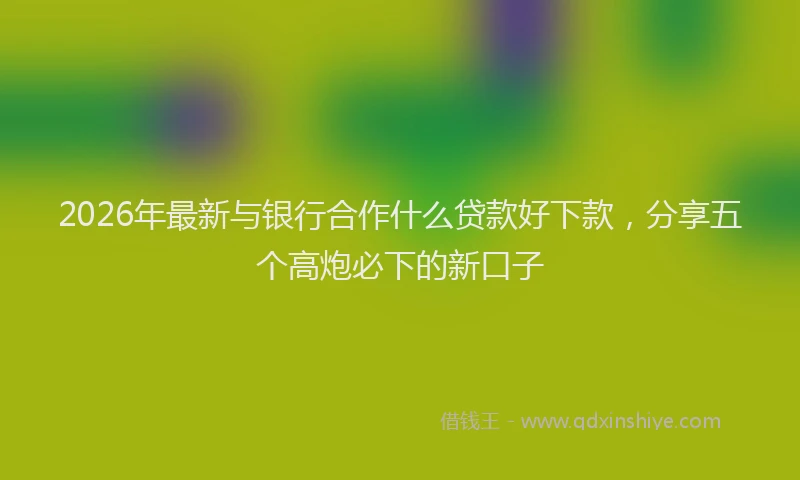 2026年最新与银行合作什么贷款好下款，分享五个高炮必下的新口子