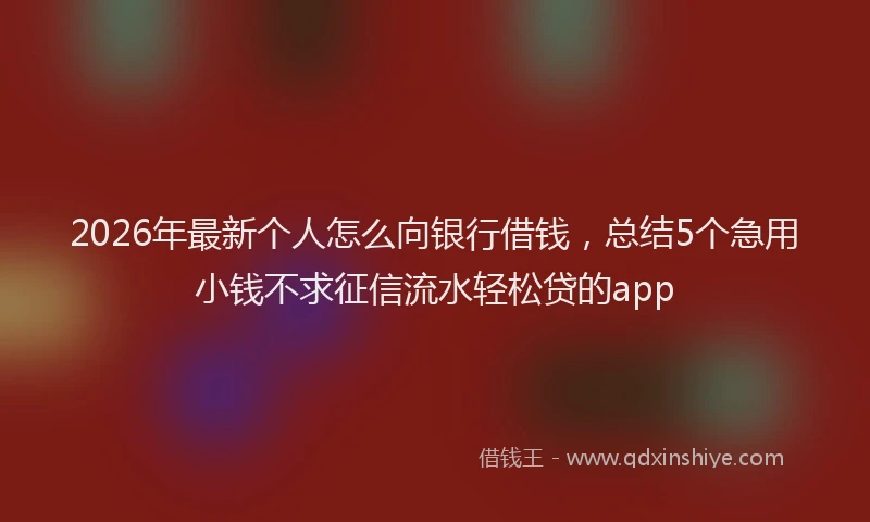 2026年最新个人怎么向银行借钱,总结5个急用小钱不求征信流水轻松贷的app