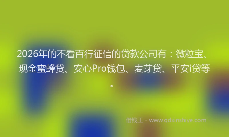 2026年的不看百行征信的贷款公司有：微粒宝、现金蜜蜂贷、安心Pro钱包、麦芽贷、平安i贷等。