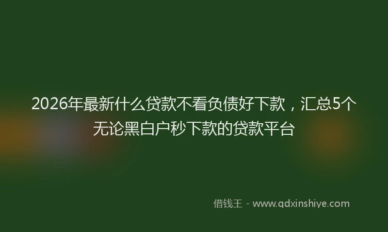 2026年最新什么贷款不看负债好下款,汇总5个无论黑白户秒下款的贷款平台