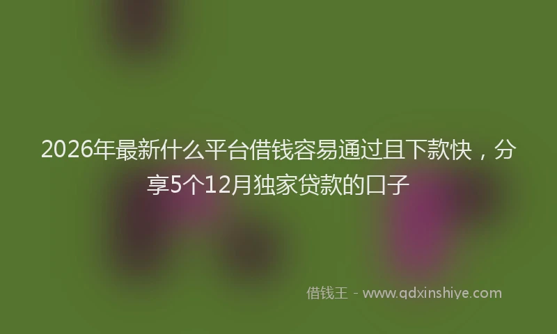 2026年最新什么平台借钱容易通过且下款快，分享5个12月独家贷款的口子