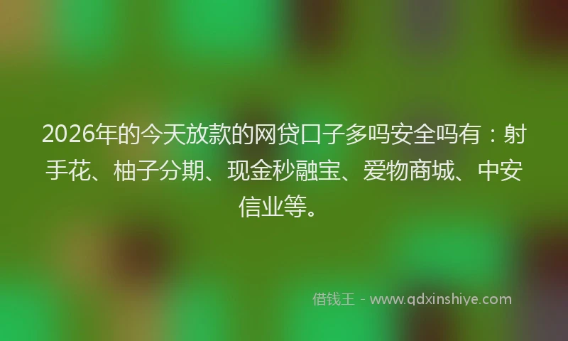 2026年的今天放款的网贷口子多吗安全吗有:射手花、柚子分期、现金秒融宝、爱物商城、中安信业等。