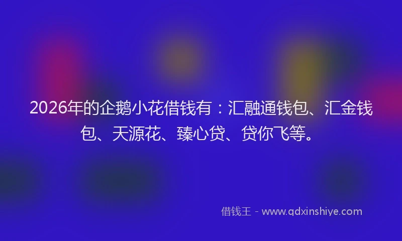 2026年的企鹅小花借钱有:汇融通钱包、汇金钱包、天源花、臻心贷、贷你飞等。