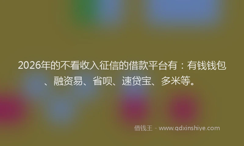 2026年的不看收入征信的借款平台有：有钱钱包、融资易、省呗、速贷宝、多米等。
