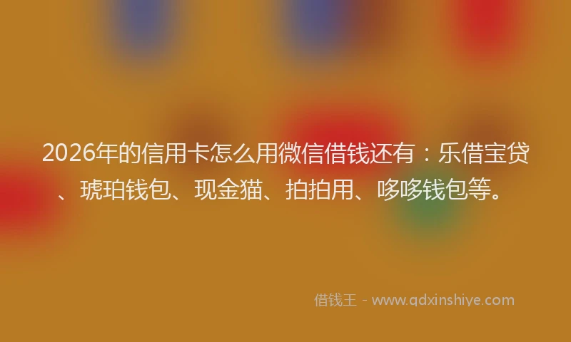 2026年的信用卡怎么用微信借钱还有:乐借宝贷、琥珀钱包、现金猫、拍拍用、哆哆钱包等。