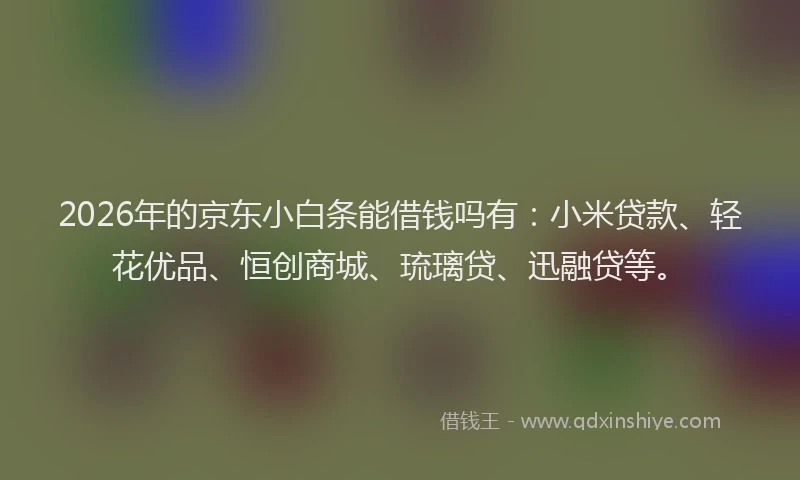 2026年的京东小白条能借钱吗有:小米贷款、轻花优品、恒创商城、琉璃贷、迅融贷等。