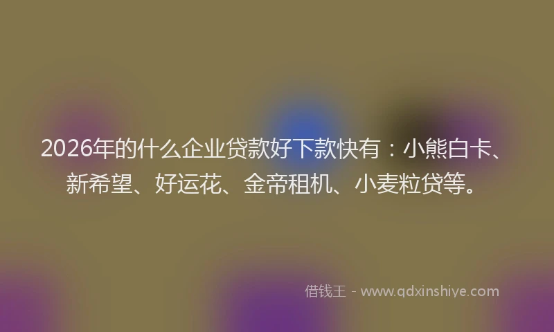 2026年的什么企业贷款好下款快有:小熊白卡、新希望、好运花、金帝租机、小麦粒贷等。