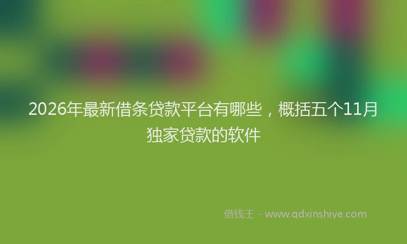 2026年最新借条贷款平台有哪些，概括五个11月独家贷款的软件