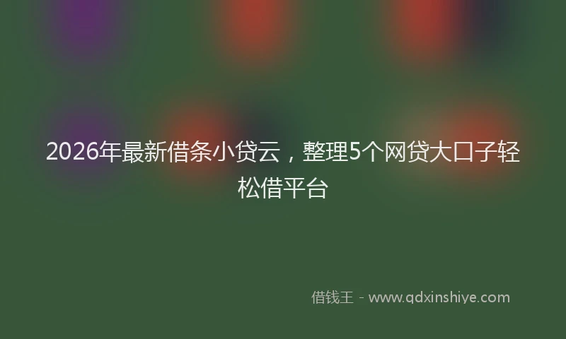 2026年最新借条小贷云，整理5个网贷大口子轻松借平台