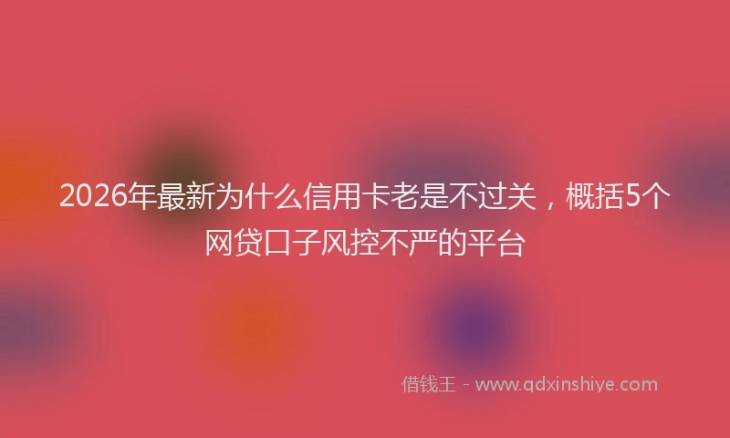 2026年最新为什么信用卡老是不过关，概括5个网贷口子风控不严的平台