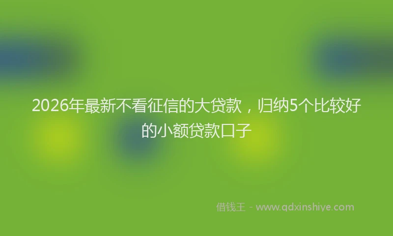 2026年最新不看征信的大贷款,归纳5个比较好的小额贷款口子