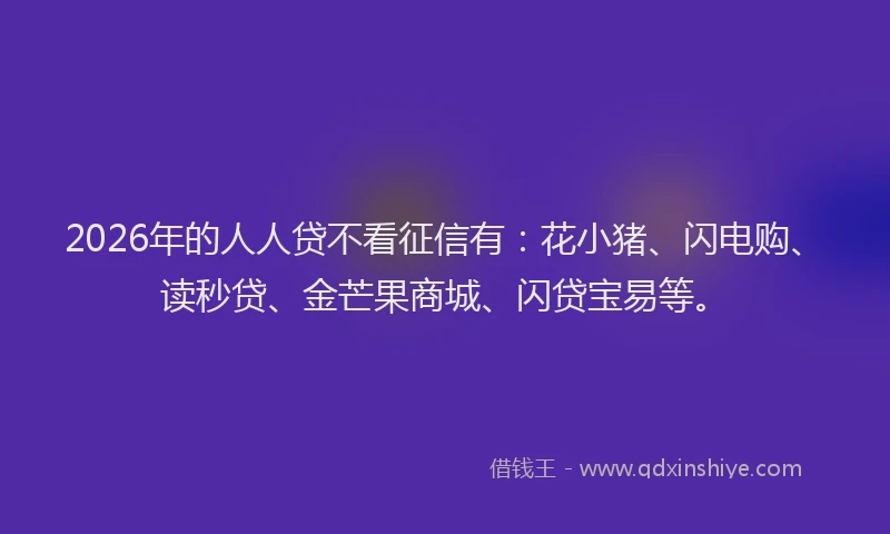 2026年的人人贷不看征信有:花小猪、闪电购、读秒贷、金芒果商城、闪贷宝易等。