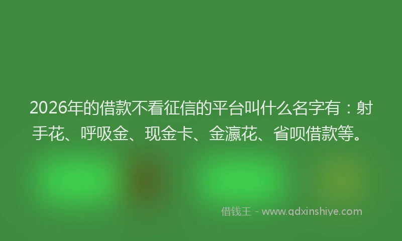 2026年的借款不看征信的平台叫什么名字有：射手花、呼吸金、现金卡、金瀛花、省呗借款等。