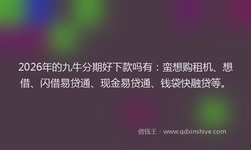 2026年的九牛分期好下款吗有：蛮想购租机、想借、闪借易贷通、现金易贷通、钱袋快融贷等。